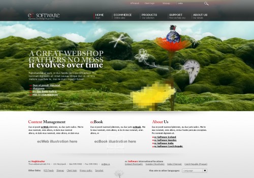 ecSoftware Corporate Site - Front page design